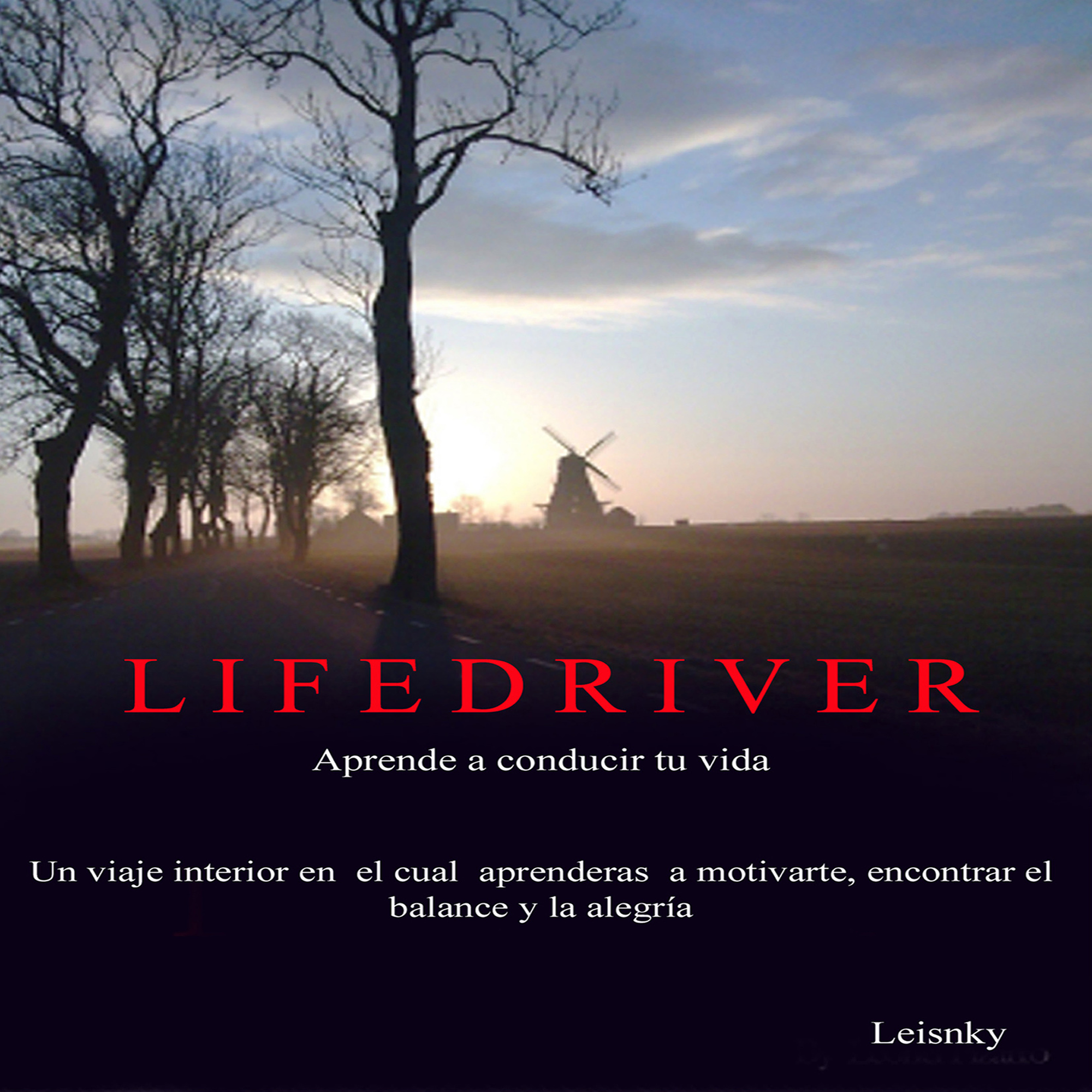 Tapa del libro Lifedriver